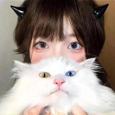 象宫龙虎斗